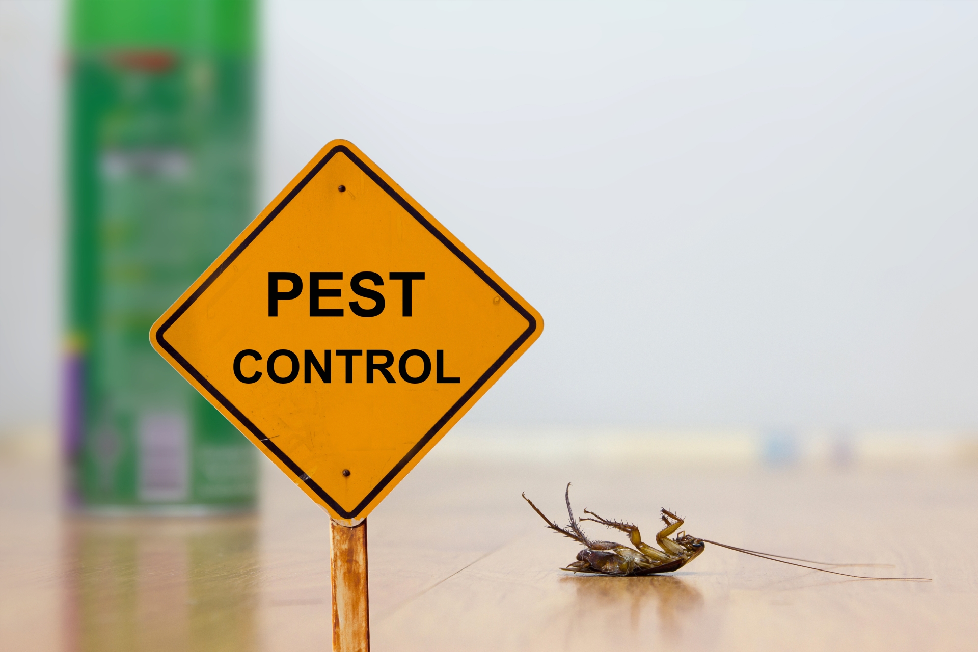 24 Hour Pest Control, Pest Control in Great Bookham, Little Bookham, KT23. Call Now 020 8166 9746
